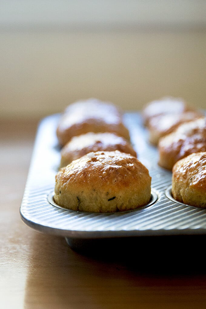 Just-baked thyme dinner rolls in a muffin tin.