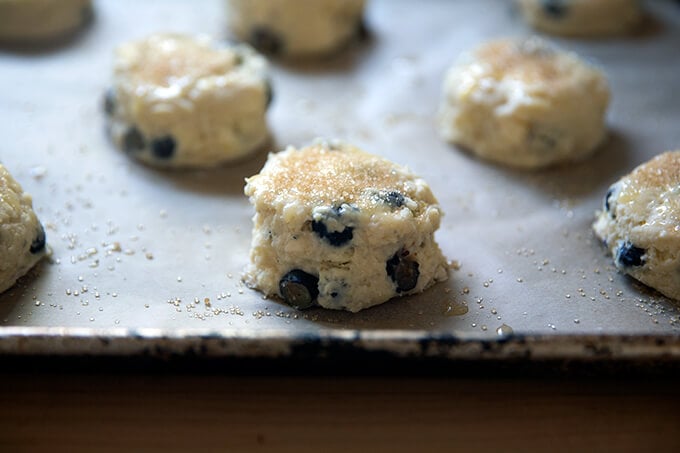 Unbaked blueberry scones on a sheet pan.