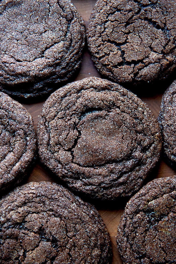 Chewy Chocolate Sugar Cookies | Alexandra's Kitchen