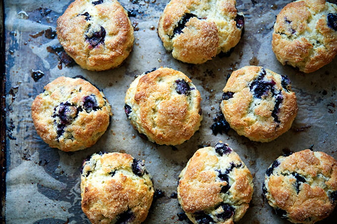 Just-baked blueberry scones on a sheet pan.