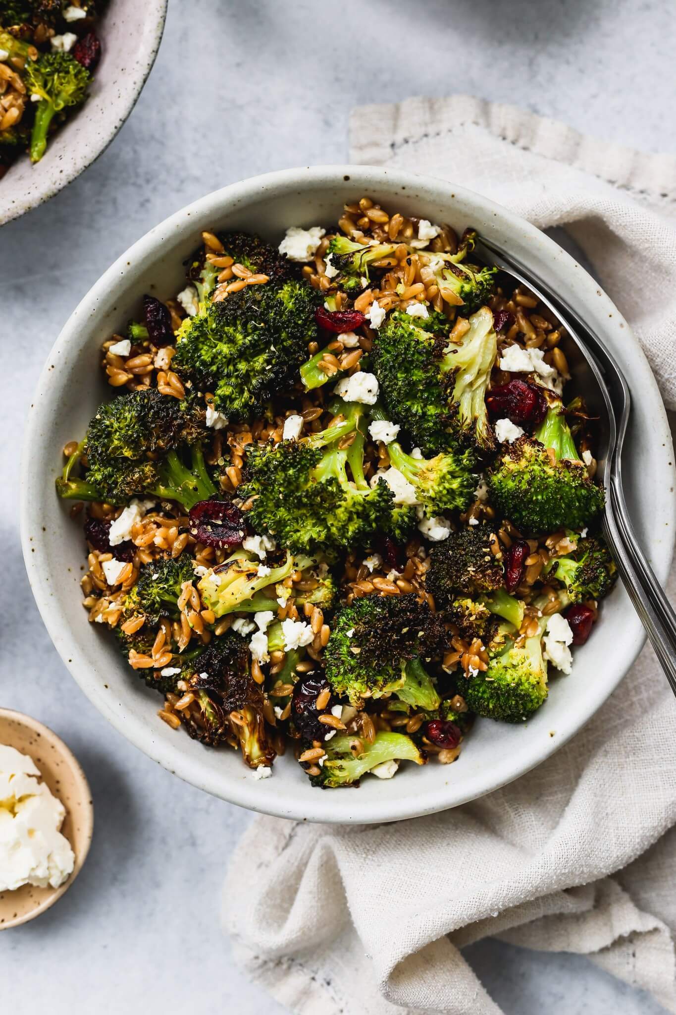 10 Quick & Easy Broccoli Salad Recipes | Alexandra's Kitchen