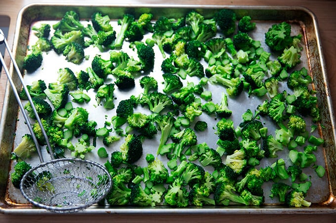 Blanched broccoli on a sheet pan.