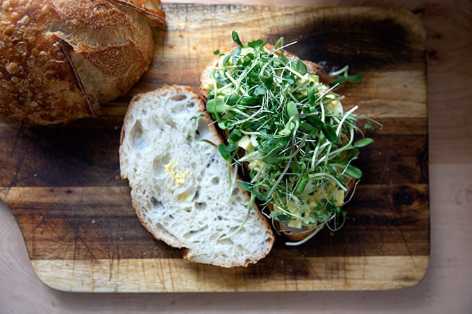 An egg salad sandwich topped with sprouts.