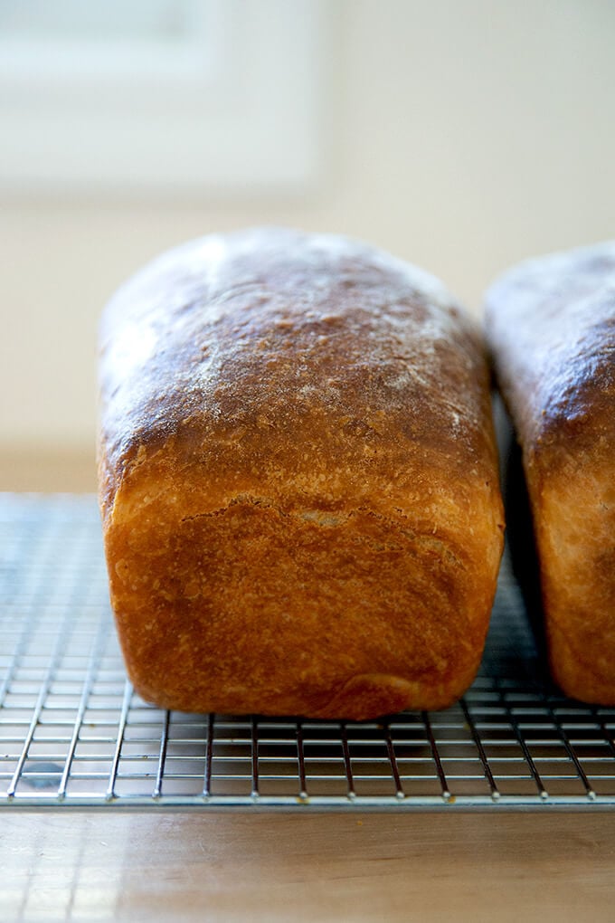 A loaf of freshly baked brioche on a cooling rack.