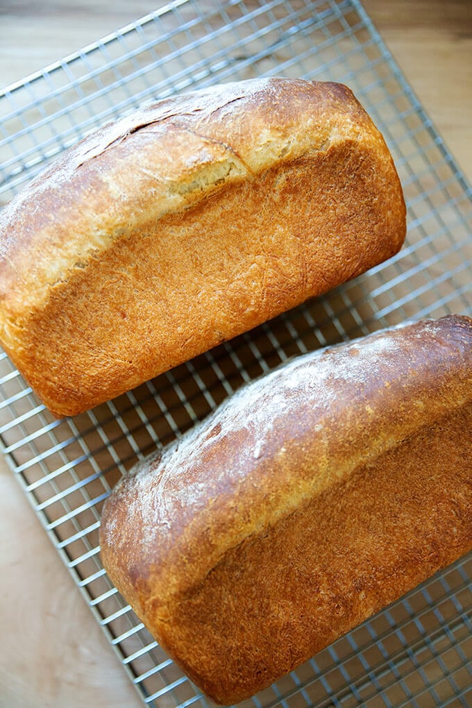 Two loaves of freshly baked brioche on a cooling rack.