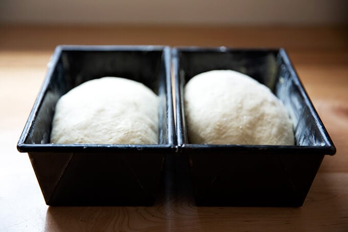 Brioche dough in loaf pans.
