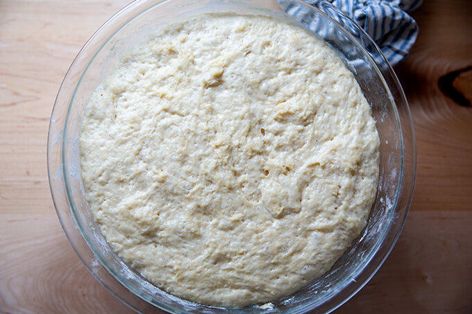 A bowl of risen brioche dough.