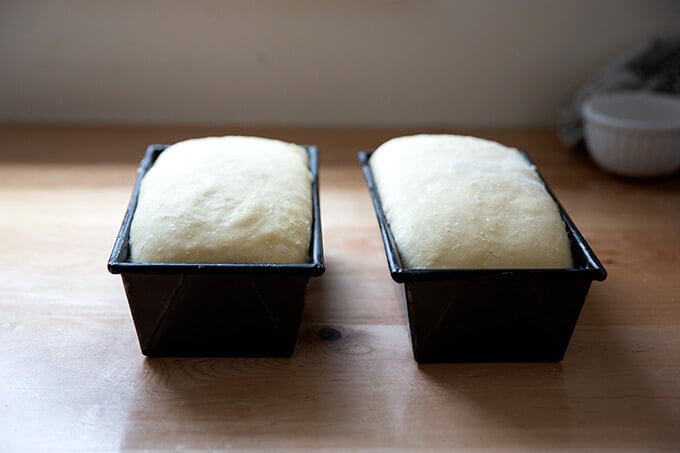 Two loaf pans filled with brioche dough ready for the oven.