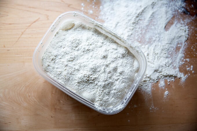 Floured sourdough ciabatta dough.