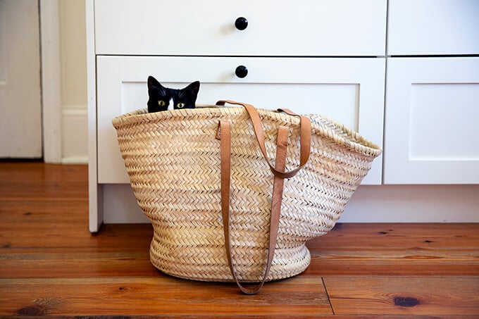 A straw bag with a cat in it.