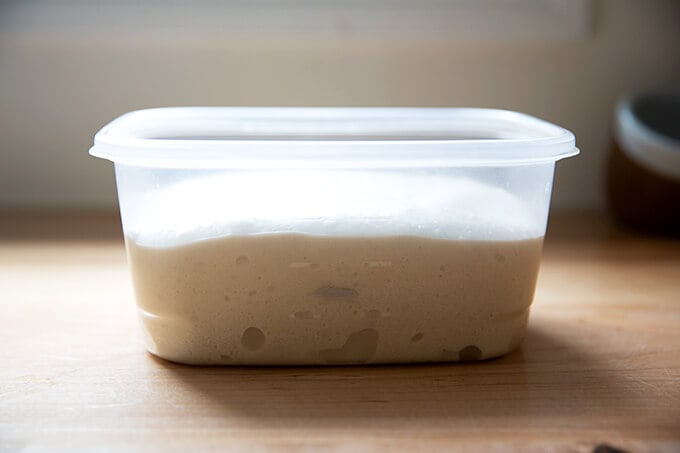 Nearly doubled sourdough ciabatta dough in a Tupperware.