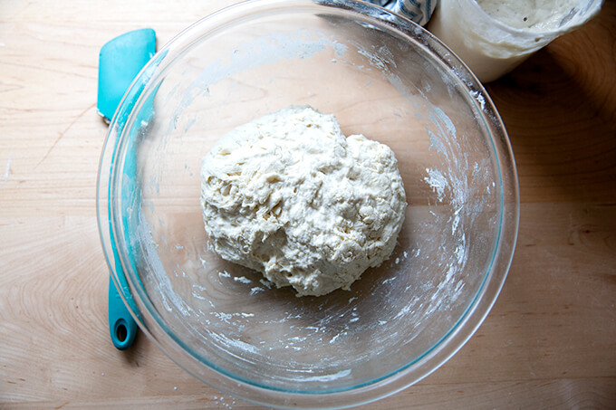 Just-mixed sourdough ciabatta dough.