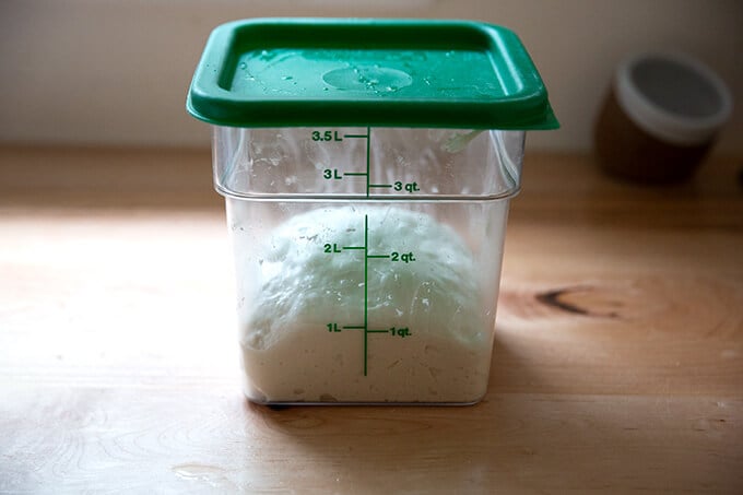 Ciabatta dough in a 4-qt container ready to be transferred to the fridge.