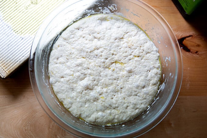 A bowl of focaccia dough after a fridge rise.