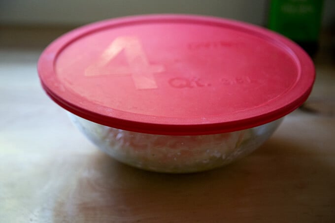 A covered bowl of risen focaccia dough.