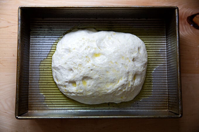 Focaccia dough in a 9x13-inch pan.