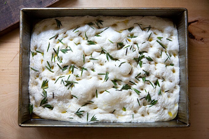 A 9x13-inch pan filled with rosemary focaccia dough.