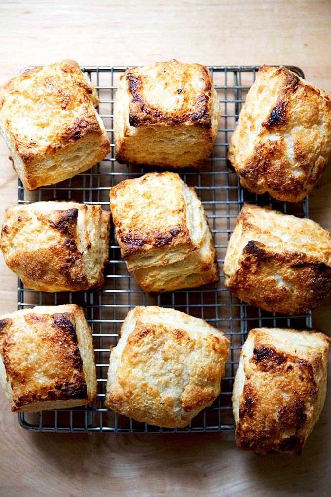 Just-baked buttermilk biscuits on a cooling rack.