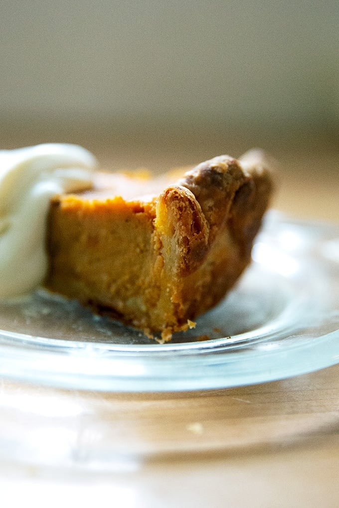 A slice of pumpkin pie on a plate with a dollop of whipped cream on top.