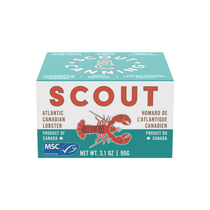 Scout Lobster