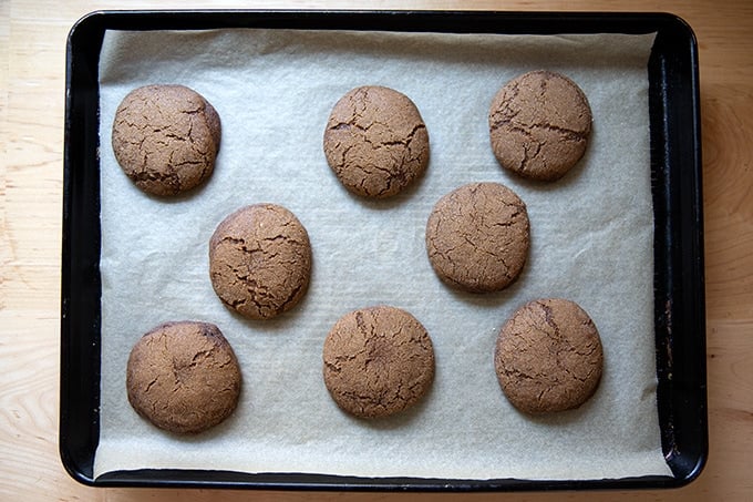 Just baked molasses cookies on a sheet pan.