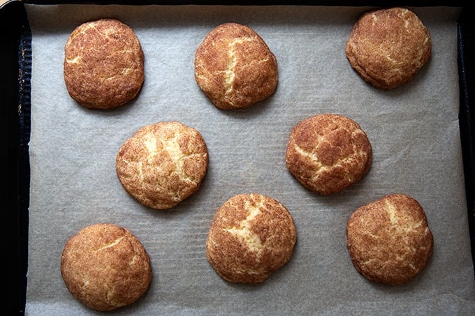 Just baked brown butter snickerdoodles on a sheet pan.