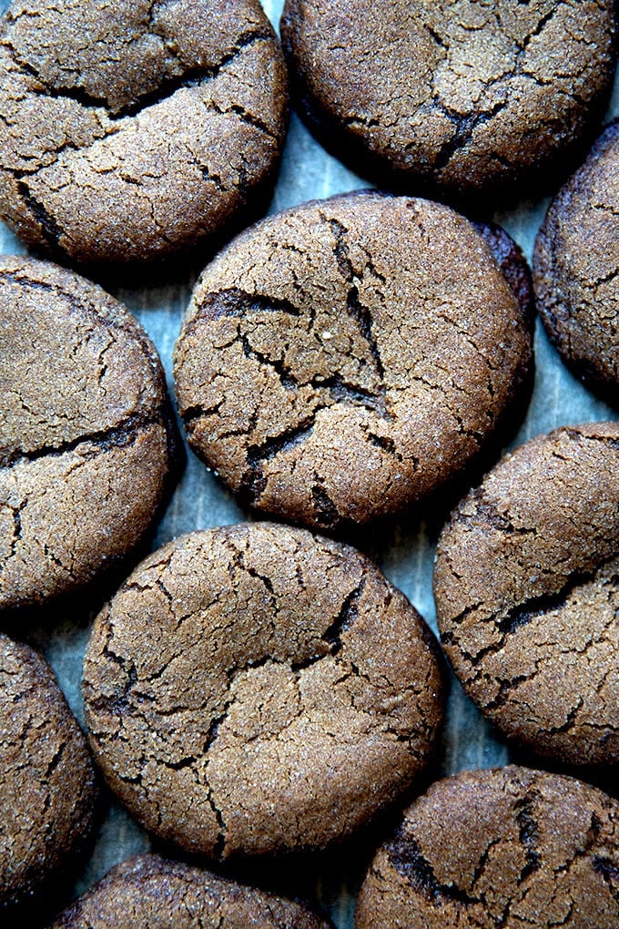 Just baked soft and chewy molasses cookies.