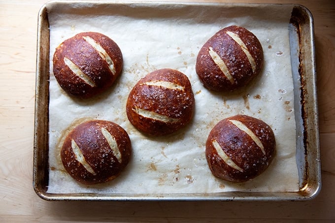 Five just-baked pretzel rolls on a sheet pan.