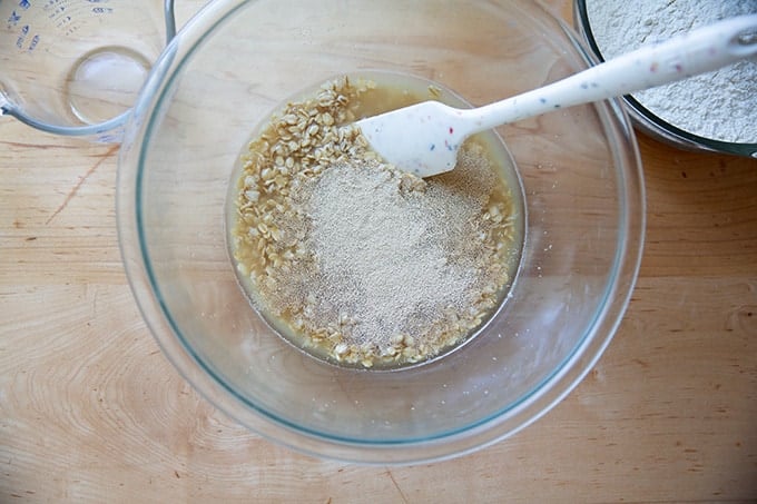 Adding the yeast to a bowl of water, oats, maple syrup and water.