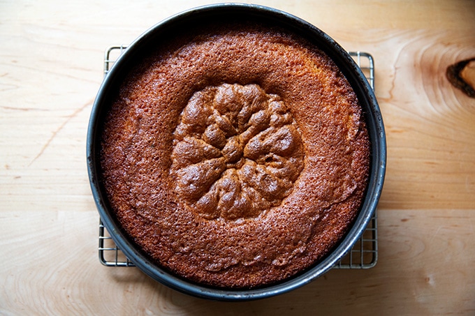 Just-baked orange and olive oil cake.