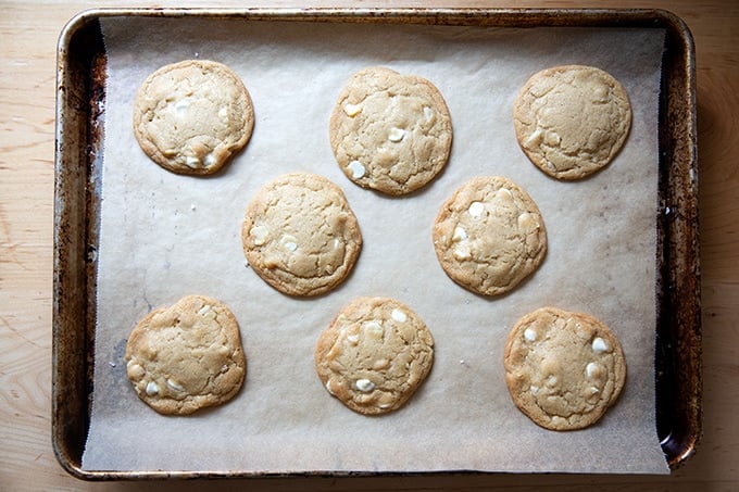 Just-baked white chocolate macadamia nut cookies on a sheet pan.