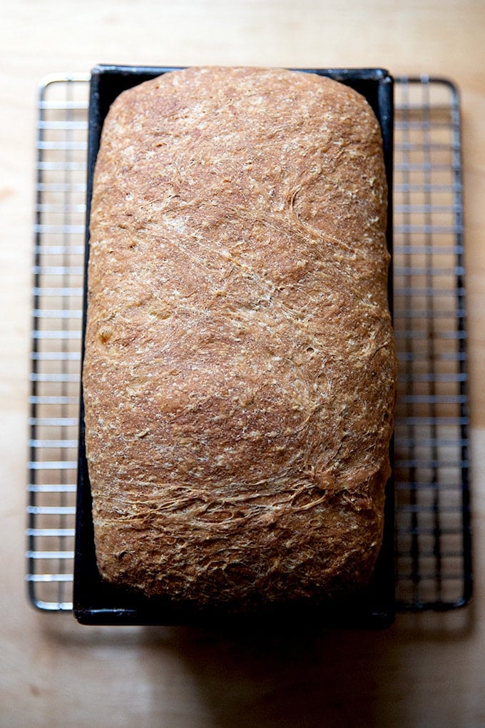 Rye Sandwich Bread - Bake from Scratch