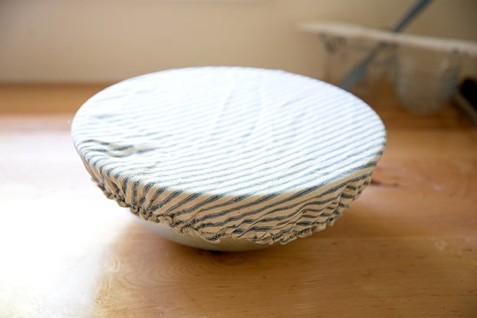 Dough rising in a bowl with a cloth bowl cover on top.