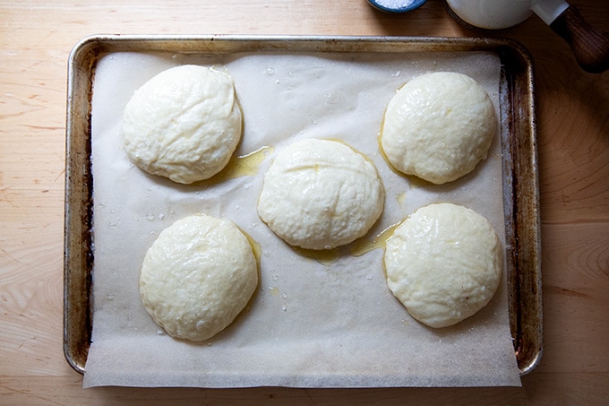 Buttered and salted pretzel roll dough balls on a sheet pan.