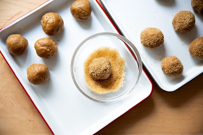 Rolled portions of gingersnap cookies coated in raw turbinado sugar.