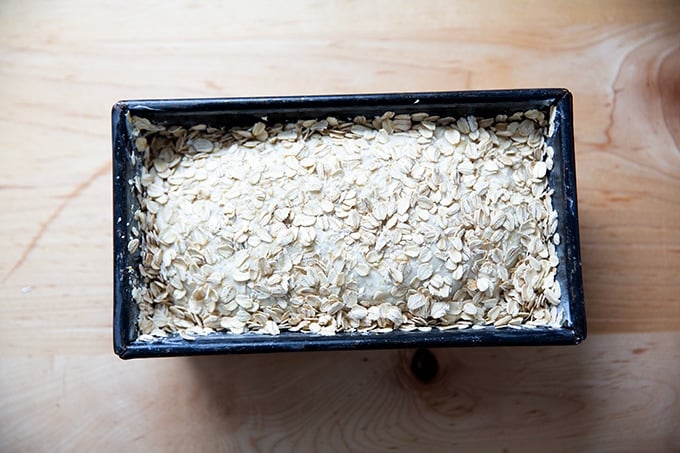 A loaf of oatmeal maple bread coated in oats unbaked in its loaf pan about to start its second rise.