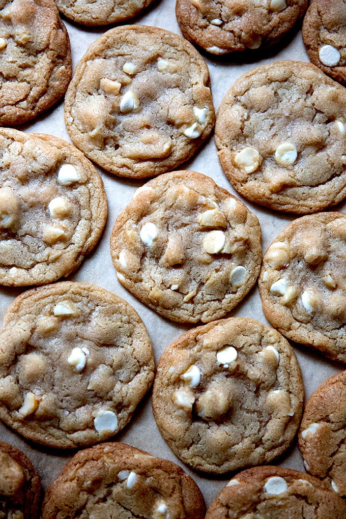 Just-baked white chocolate macadamia nut cookies.