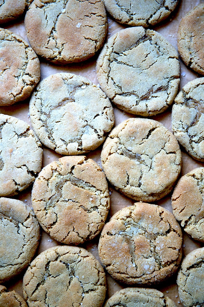 Just-baked peanut butter cookies all together on a sheet pan.
