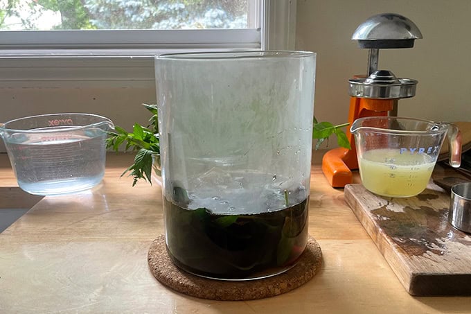 A glass vessel holding tea bags steeping in hot water and mint.