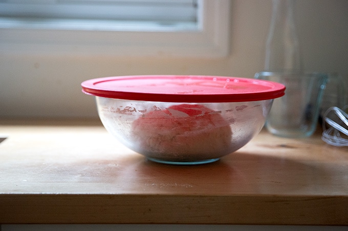 A covered bowl holding pretzel roll dough.