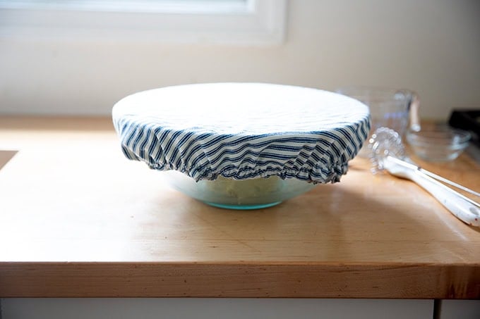 A bowl of corn tortilla dough covered with a towel.