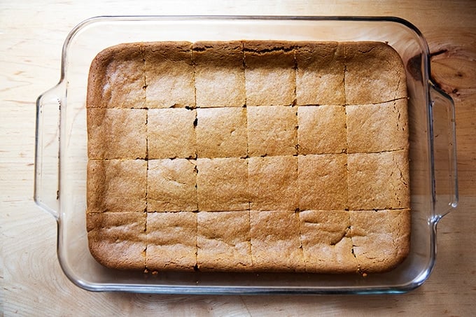 A 9x13-inch pan filled with cut gingerbread cookie bars.