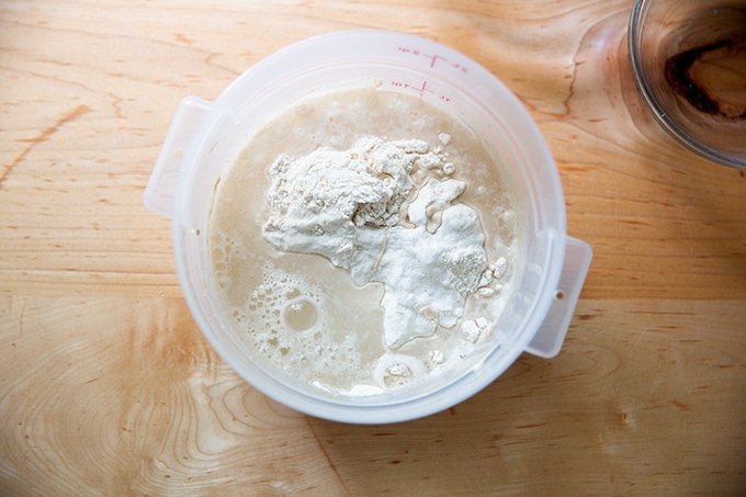 A two-quart container holding sourdough starter, flour and water not mixed together.