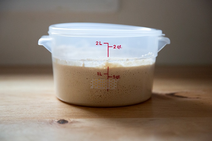 A 2-quart container holding sourdough starter doubled in volume.