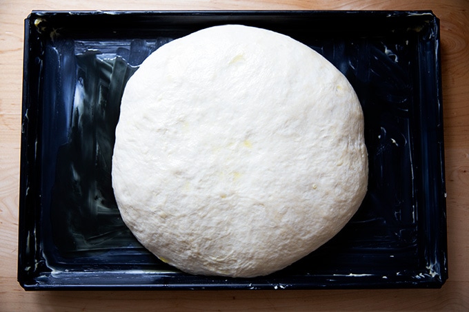 A ball of Sicilian-style pizza dough in the center of a sheet pan after a three hour proof.