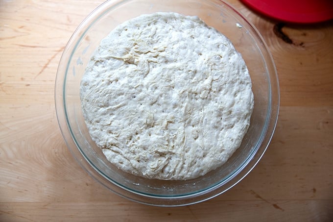 Risen pretzel roll dough in a bowl.