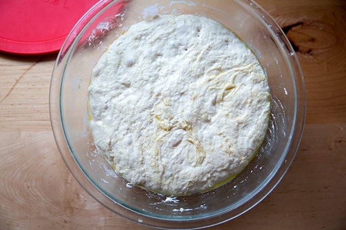 Focaccia dough in a bowl after 24 hours in the fridge.