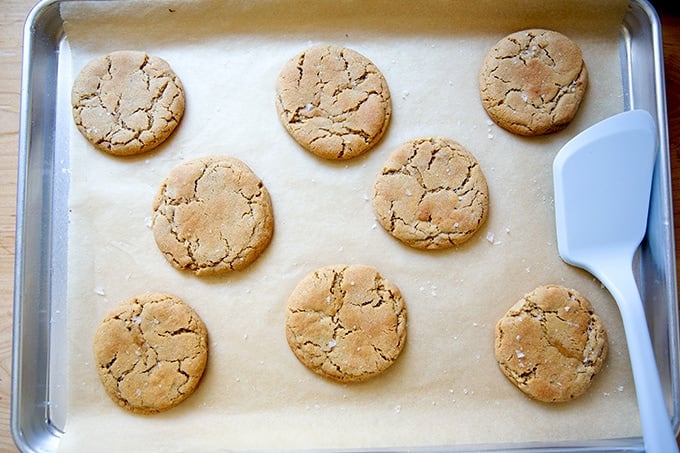 Just-baked and flattened peanut butter cookies on a sheet pan.