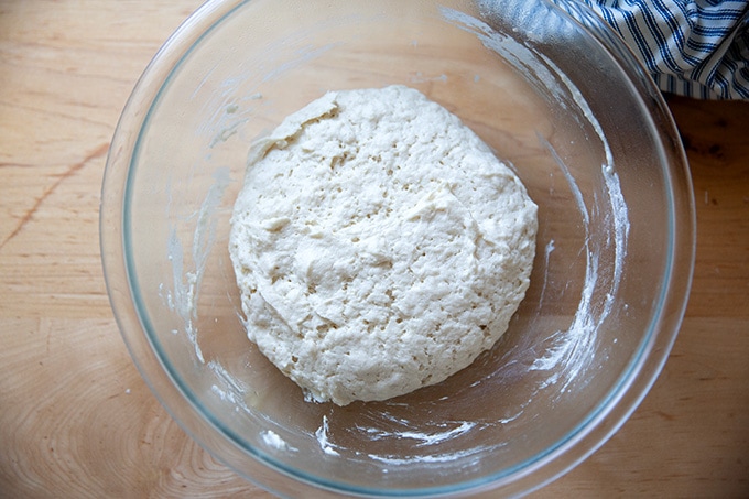 Risen gluten-free pizza dough in a large bowl.