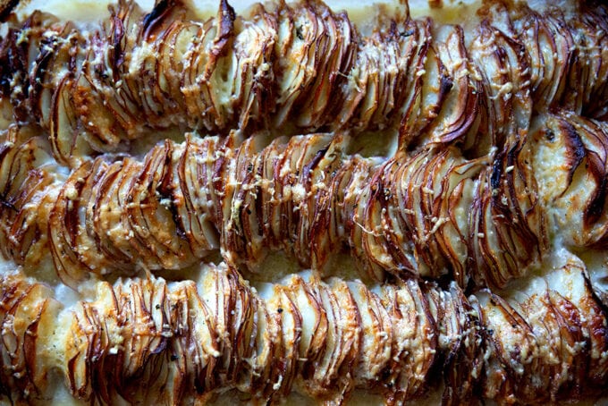 Just-baked hasselback potato gratin.